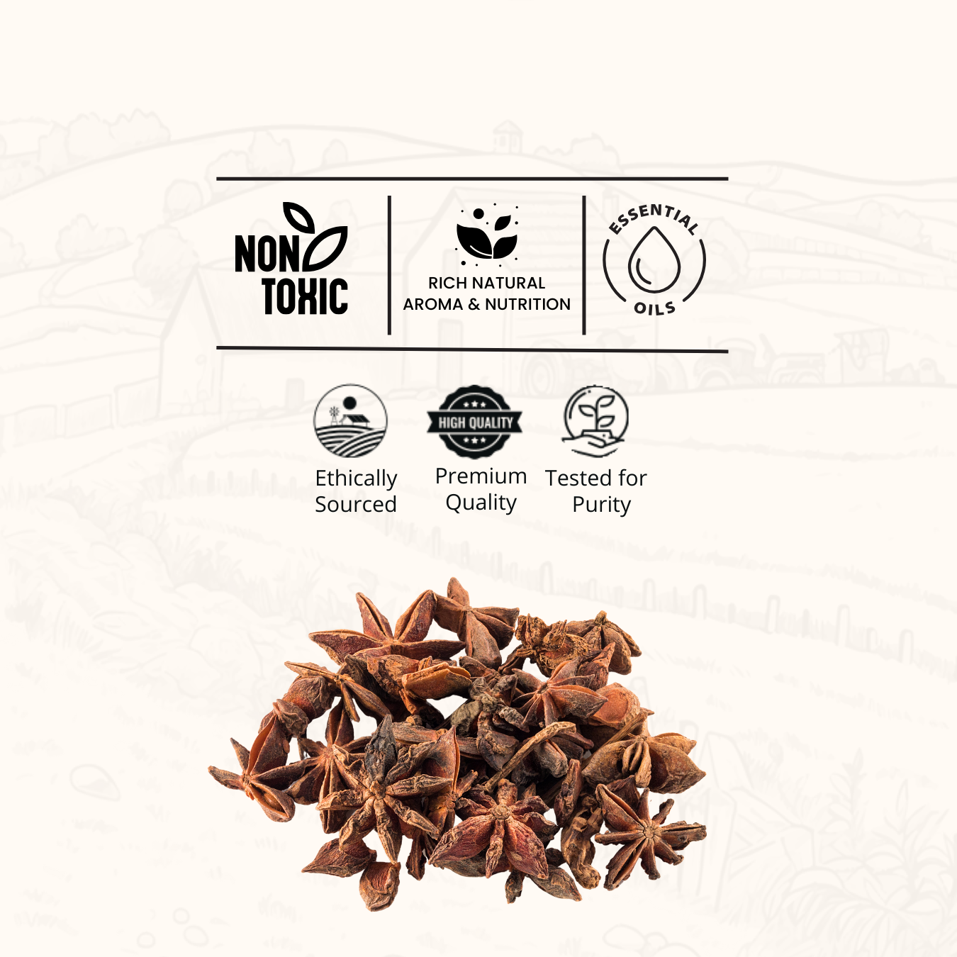Star Anise