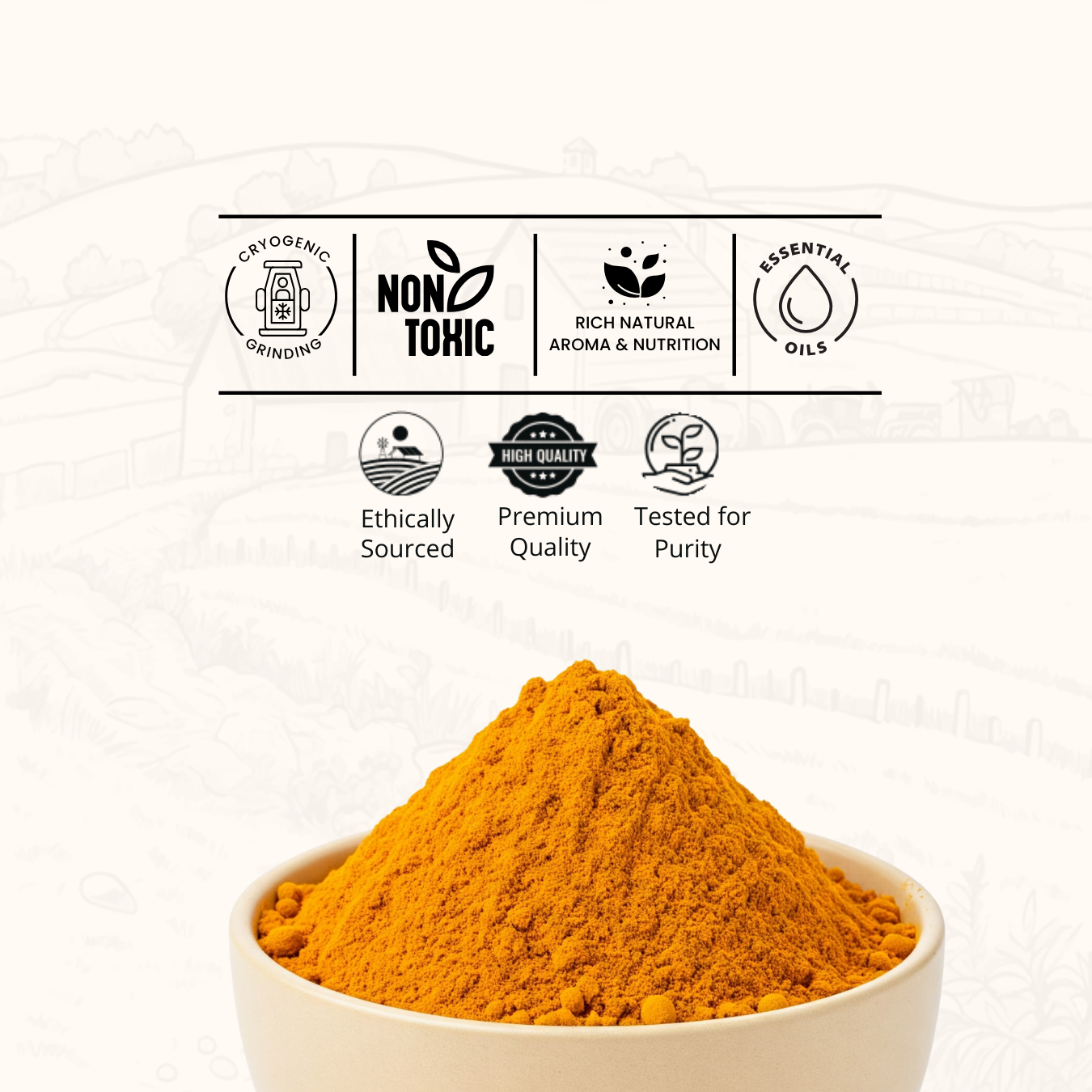 Turmeric Powder