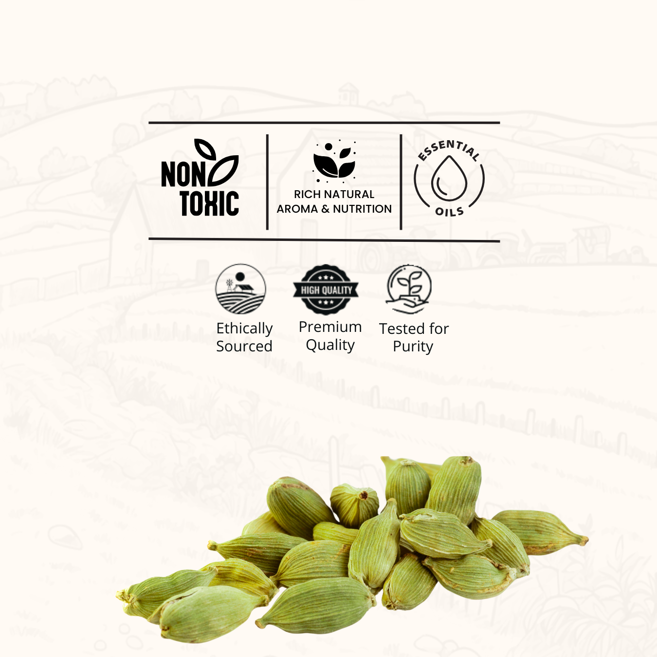 Green Cardamom