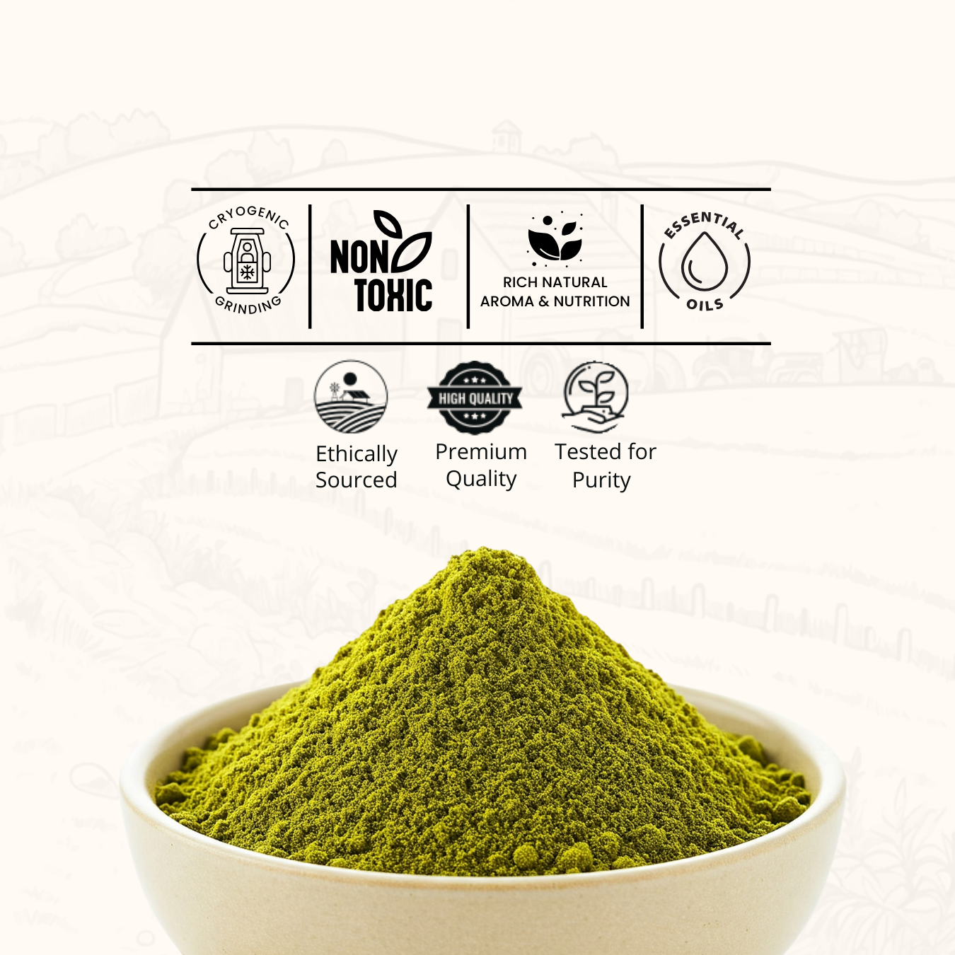 Coriander Powder
