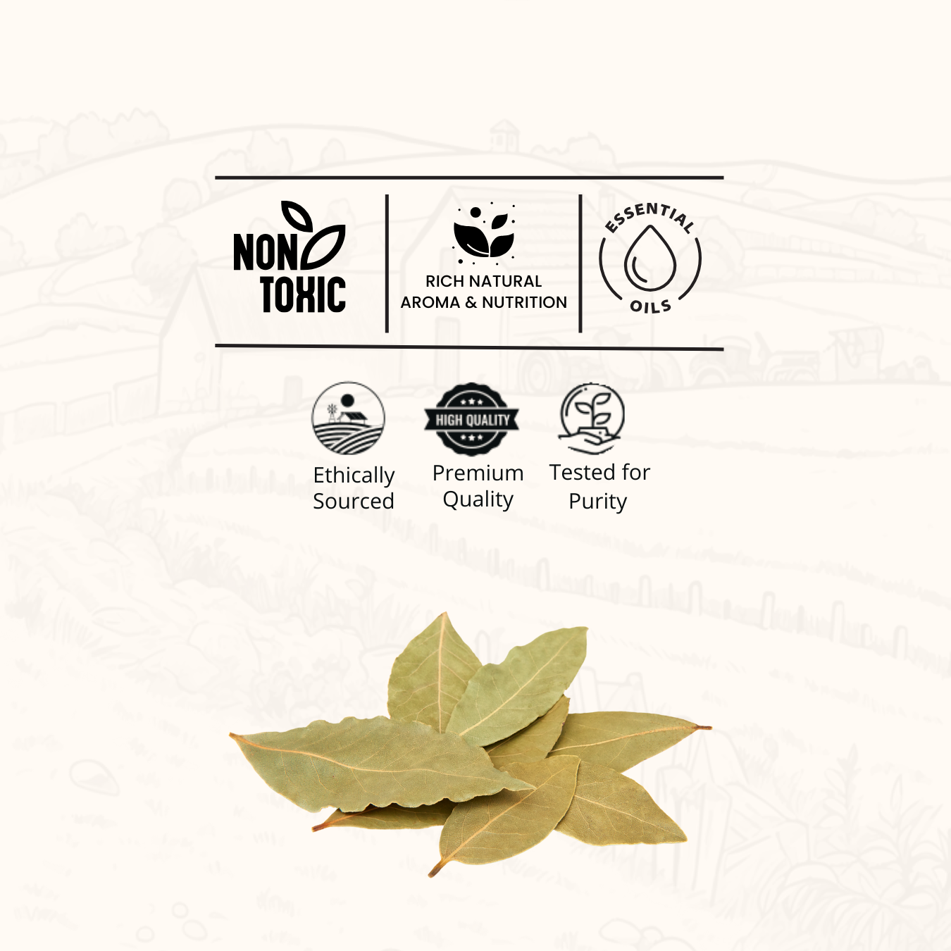 Cassia Leaf (Tej Patta)