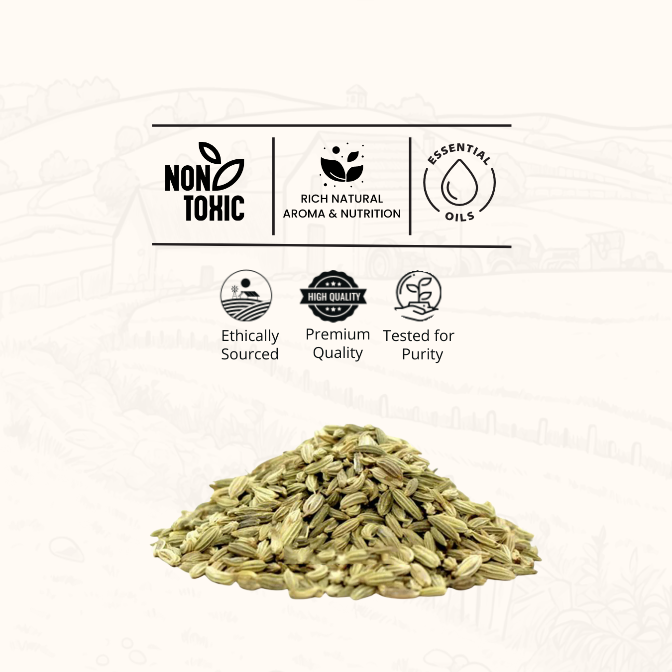 Fennel Seeds