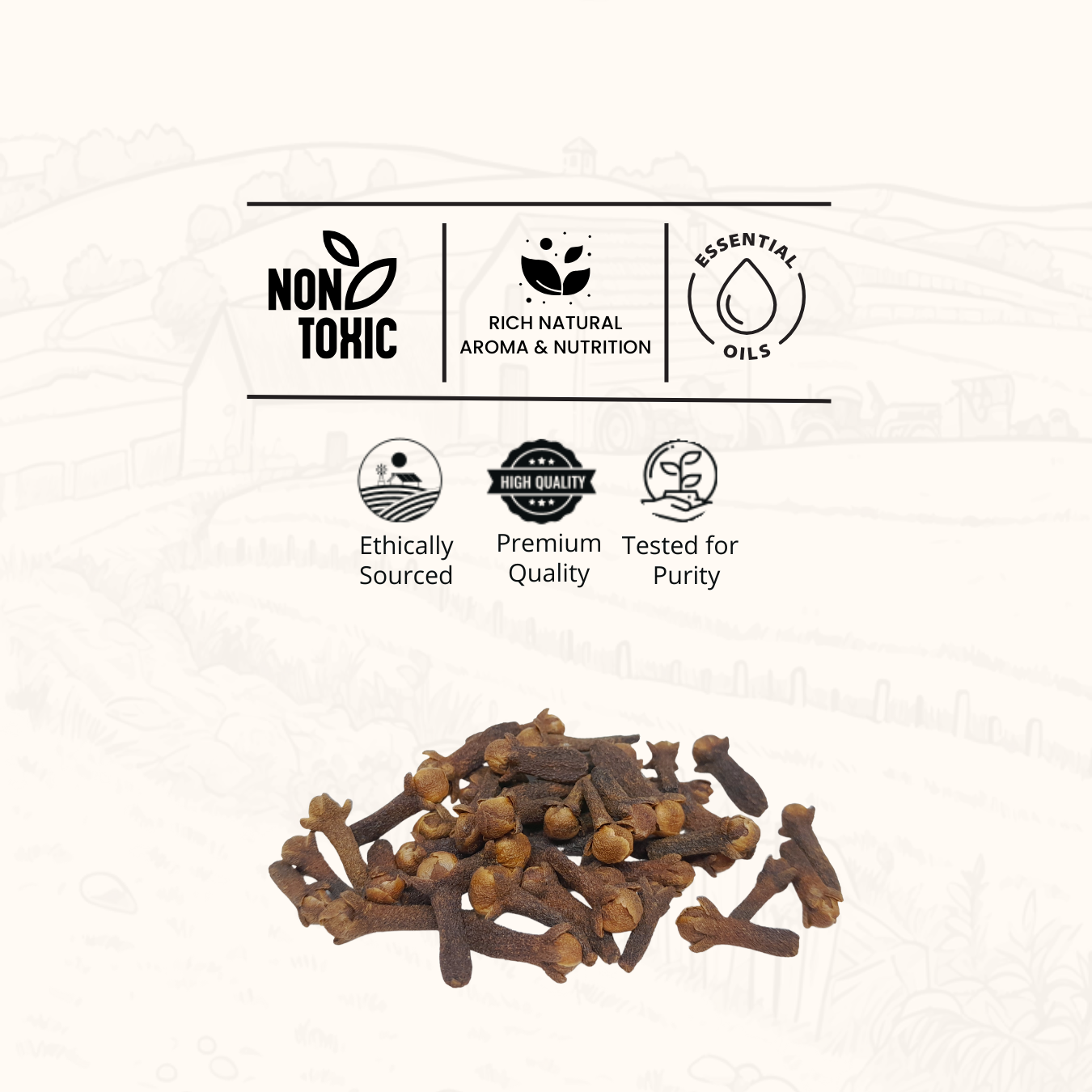 Clove