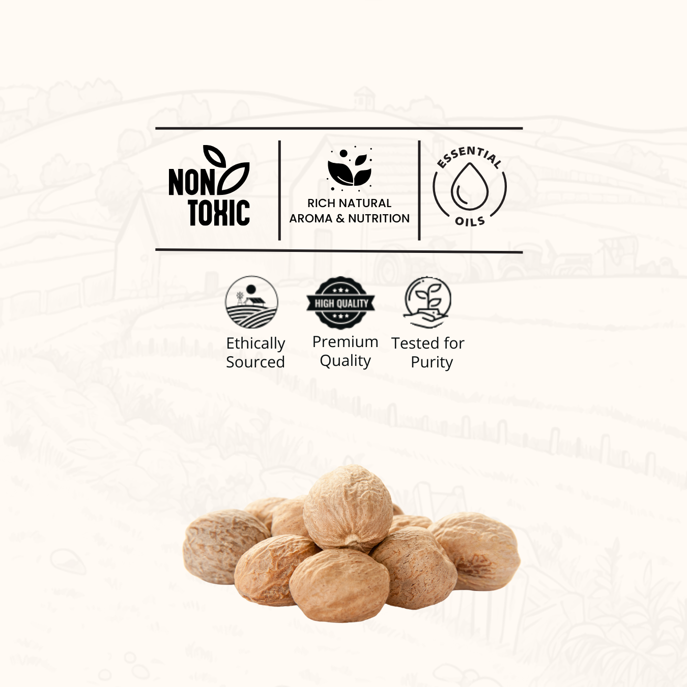 Nutmeg (Jaiphal)