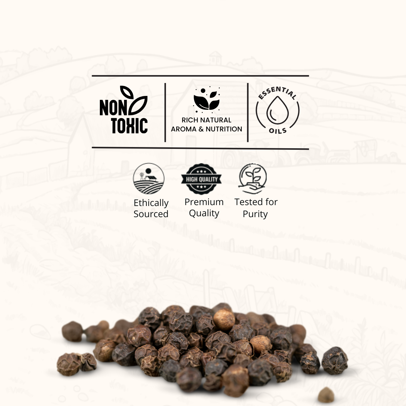 Black Pepper