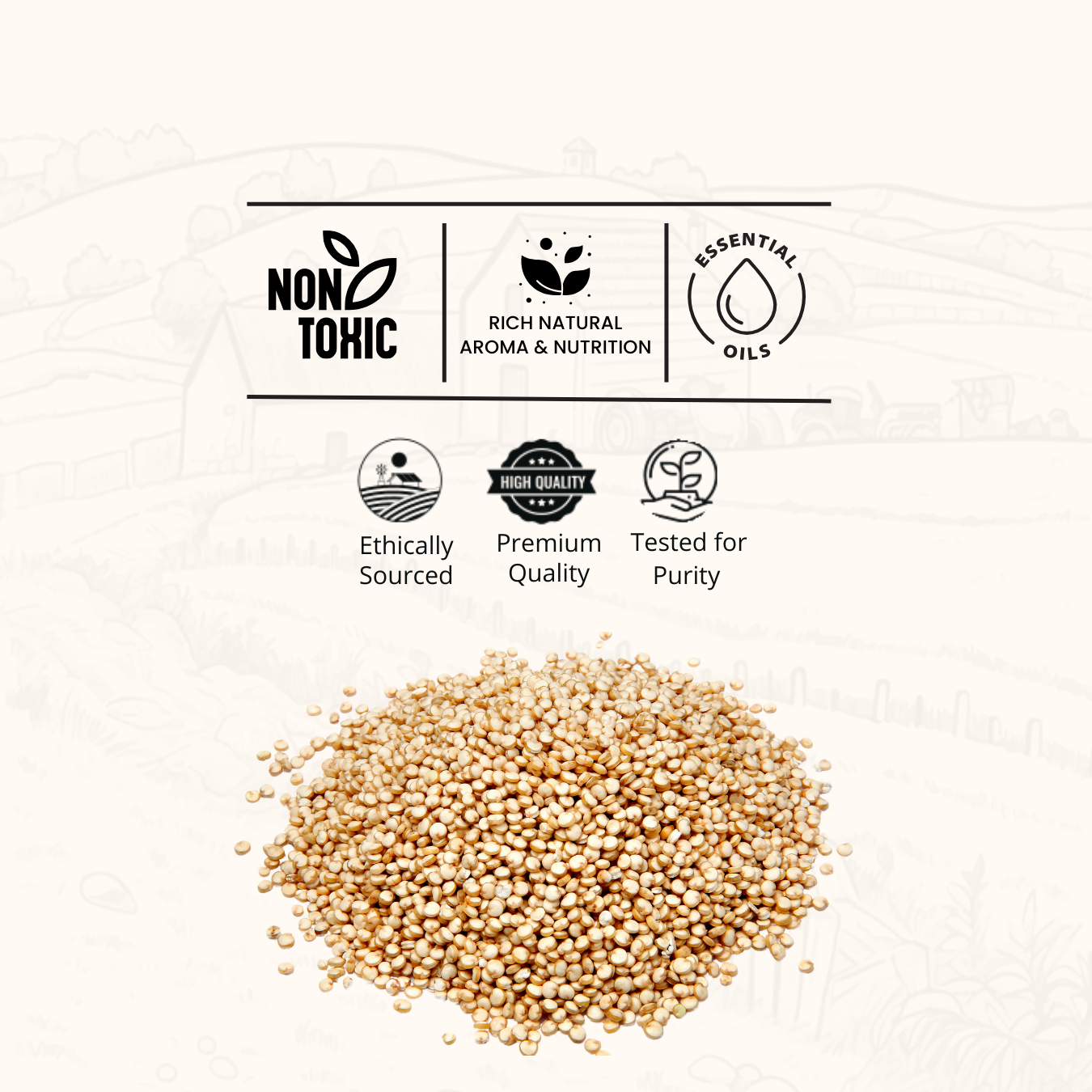 Quinoa