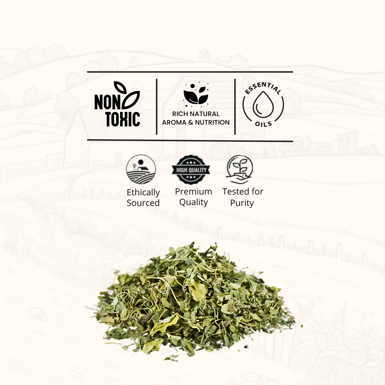 Fenugreek Leaves