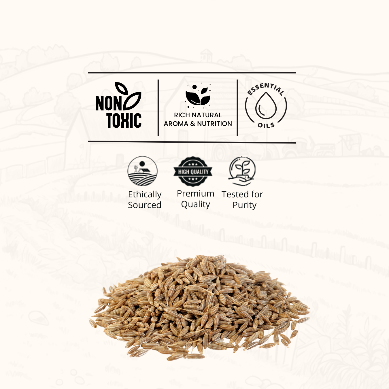 Whole Cumin Seeds